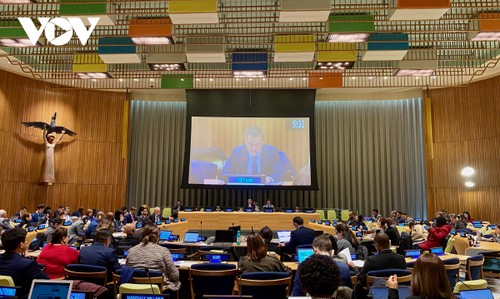 Vietnam: die vollständige Beseitigung von Atomwaffen ist gemeinsames Interesse der Menschheit - ảnh 1