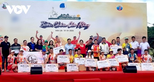 Laufwettbewerb zum Neujahr in Dak Lak - ảnh 1