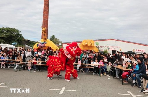 Vietnamesen in Deutschland feiern das Mittherbstfest - ảnh 1