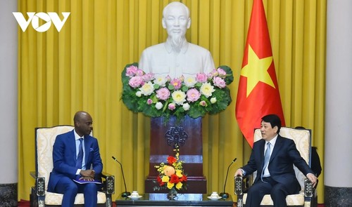Förderung der Freundschaft und Zusammenarbeit zwischen Vietnam und Togo - ảnh 1