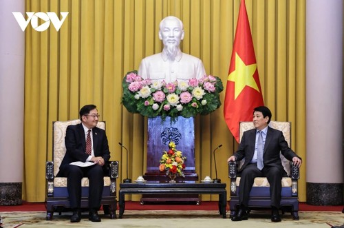 Vietnam bezeichnet ASEAN als strategische Priorität in seiner Außenpolitik - ảnh 1