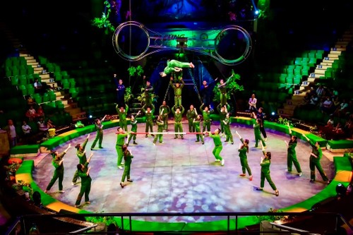 Besondere Zirkus-Show zum 50. Jubiläum der Vereinigung des Landes - ảnh 1