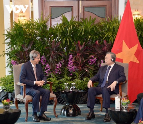 KPV-Generalsekretär To Lam trifft führende Unternehmer Singapurs - ảnh 1