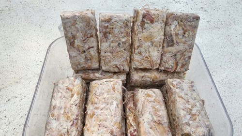 Vietnamesische Studenten und die Herstellung der weltweit ersten Biomassepellets aus Knoblauchschalen - ảnh 1