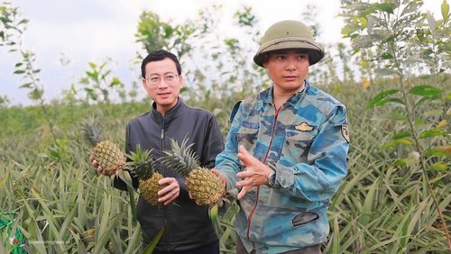 Blätter werden zum Exportrohstoff in Nghe An - ảnh 2