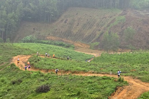 Ninh Binh fördert Kulturerbetourismus durch Sportveranstaltungen - ảnh 1