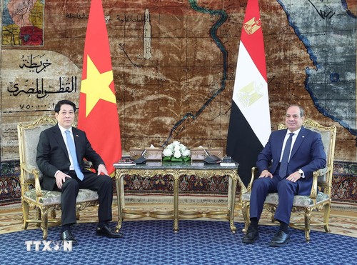 Gespräch zwischen Staatspräsident Luong Cuong und Ägyptens Präsidenten Abdel Fattah El-Sisi - ảnh 1