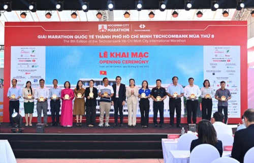 Internationaler Marathon stärkt das Image einer dynamischen Ho-Chi-Minh-Stadt - ảnh 1