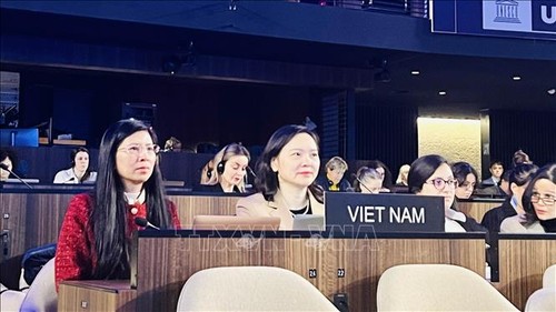 Vietnam fordert von der UNESCO bevorzugte Behandlung für Entwicklungsländer - ảnh 1