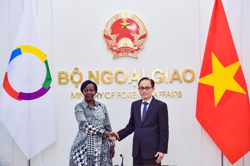 Vietnam legt Wert auf die Zusammenarbeit mit der Frankophonie - ảnh 1
