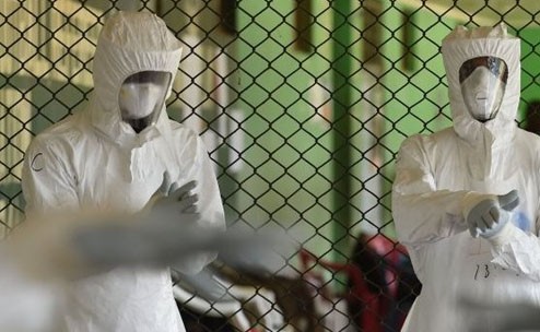 WHO: jumlah orang meninggal akibat virus Ebola melampaui 5.000 orang - ảnh 1