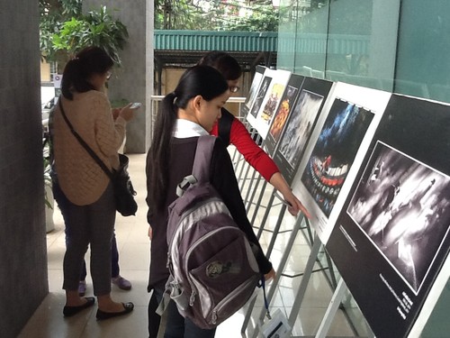 Pameran foto pusaka budaya Vietanm di kota Hanoi - ảnh 1