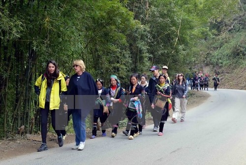 Jumlah wisatawan yang mengunjungi Sapa pada hari-hari liburan meningkat 45% - ảnh 1