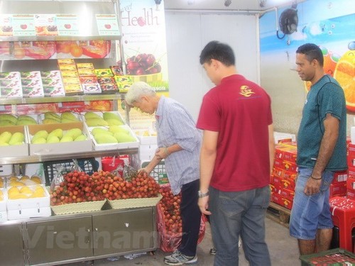 Buah leci Viet Nam mendapat sambutan hangat di Malaysia - ảnh 1