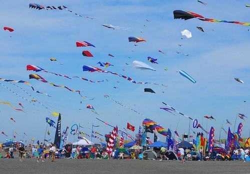 Kesan tentang festival tradisional di Provinsi Ba Ria-Vung Tau - ảnh 1