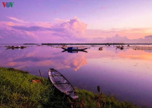 Rawa Quang Loi – Destinasi wisata yang menarik di kawasan Laguna Tam Giang - ảnh 13