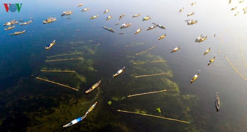 Rawa Quang Loi – Destinasi wisata yang menarik di kawasan Laguna Tam Giang - ảnh 3