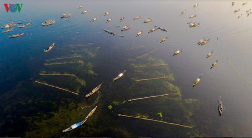 Rawa Quang Loi – Destinasi wisata yang menarik di kawasan Laguna Tam Giang - ảnh 4