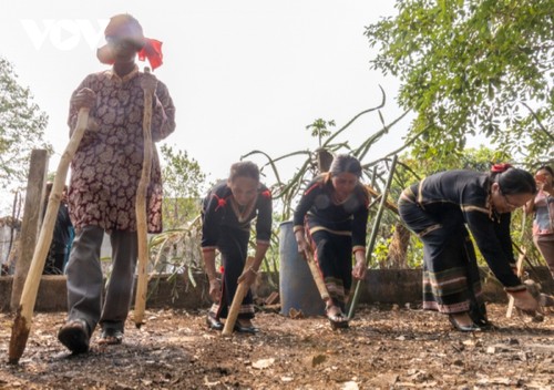 Upacara Memohon Hujan dari Warga Etnis Minoritas E De di Kota Buon Ma Thuot, Provinsi Dak Lak - ảnh 1