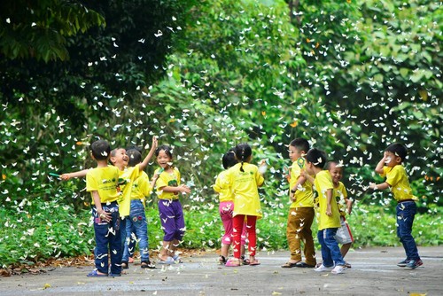 Memperkenalkan Taman Nasional Cuc Phuong dan Bukit Pasir Mui Ne - ảnh 1