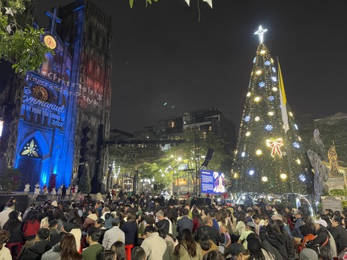 Suasana Hari Natal di Seluruh Negeri - ảnh 1