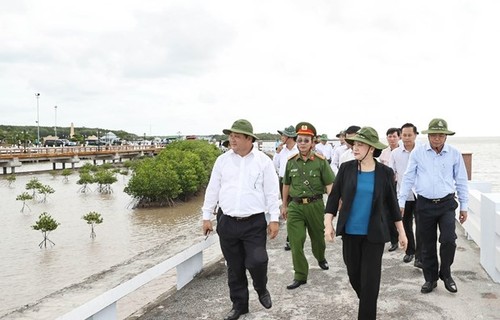 Coastal erosion prevention an urgent task: NA Chairwoman - ảnh 1