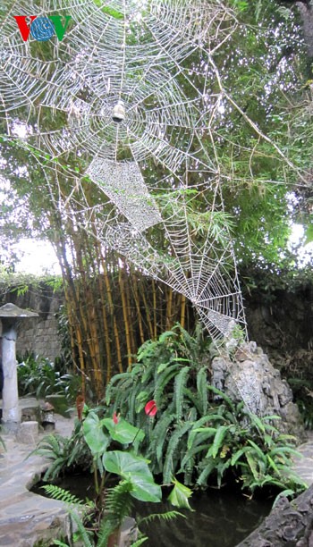 "Сумасшедший дом" в Далате - ảnh 5