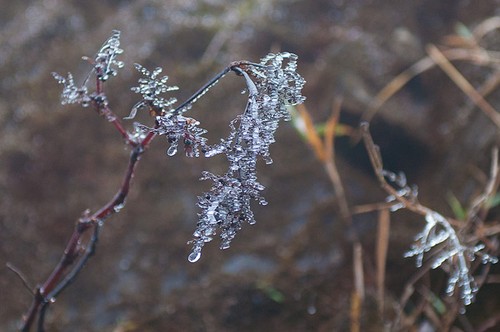 В Шапе выпал первый снег - ảnh 3