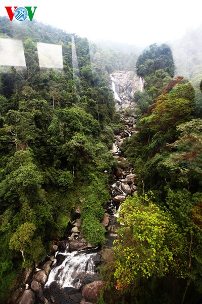 Спокойная атмосфера в пагоде Тэйтхиен - ảnh 5