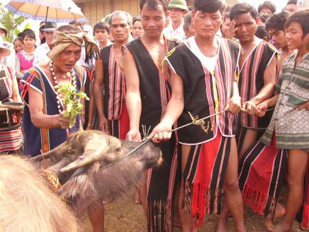 Dân tộc Brâu ở Tây Nguyên - ảnh 2