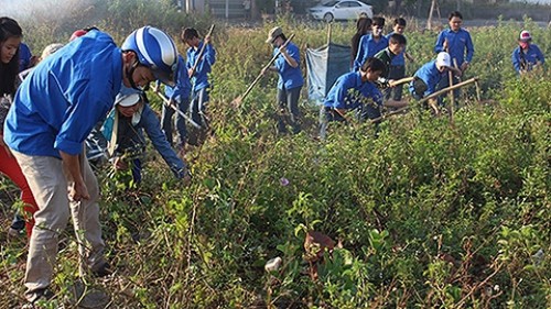 Đà Nẵng hưởng ứng “Ngày  Đại dương thế giới”  và “Tuần lễ Biển và Hải đảo Việt Nam 2017“ - ảnh 1