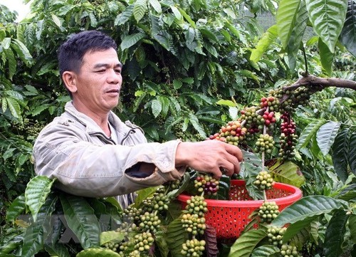 Sắp ra mắt cuốn “Chỉ dẫn địa lý – Di sản thiên nhiên và văn hóa Việt” - ảnh 1