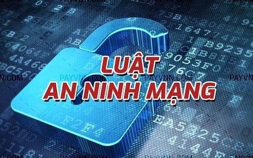 Luật an ninh mạng - ảnh 1