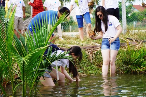 Thanh thiếu niên kiều bào trồng rừng ngập mặn bảo vệ môi trường tại Hội An - ảnh 11