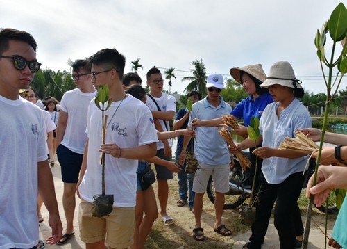 Thanh thiếu niên kiều bào trồng rừng ngập mặn bảo vệ môi trường tại Hội An - ảnh 5