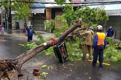 Khẩn trương khắc phục hậu quả bão số 5 - ảnh 1