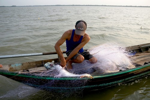 Về cồn An Lộc săn cá bông lau sông Hậu - ảnh 10