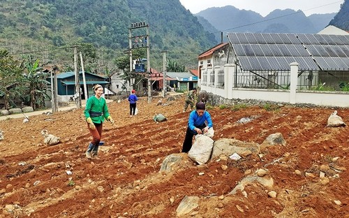 Đảng viên tiên phong đưa Nghị quyết vào thực tiễn cuộc sống - ảnh 2