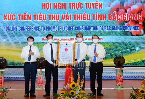 Thương mại điện tử là phương thức kinh doanh mới và hiện đại để tiêu thụ quả vải - ảnh 1