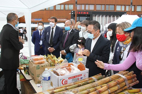 Festival Việt Nam lần thứ hai ở Pháp thu hút đông đảo du khách - ảnh 2