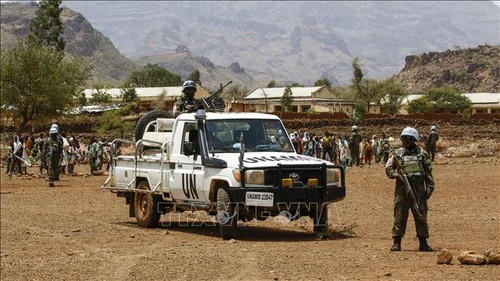 Việt Nam đánh giá cao đóng góp của phái bộ UNAMID - ảnh 1