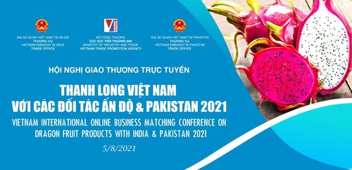 Mở rộng tiêu thụ thanh long Việt Nam tại Ấn Độ và Pakistan - ảnh 1