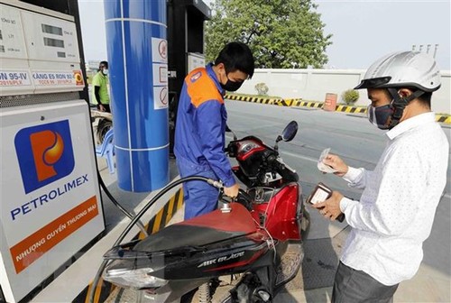 Thông qua dự án Nghị quyết trình Ủy ban Thường vụ Quốc hội về thuế bảo vệ môi trường đối với xăng, dầu - ảnh 1