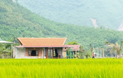 Thanh niên Đà Nẵng khởi nghiệp từ mô hình du lịch homestay - ảnh 2