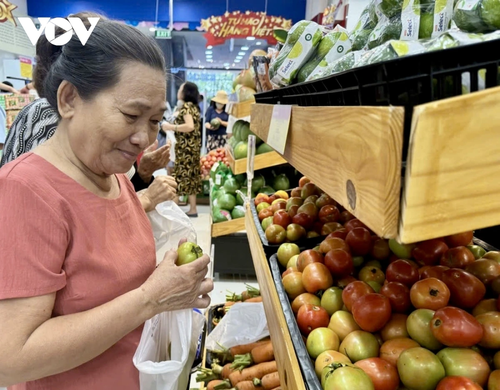 Thành phố Hồ Chí Minh phấn đấu đạt tăng trưởng 7,5% trong năm nay - ảnh 3