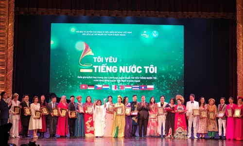 Hội Văn hóa Nghệ thuật Việt Nam tại Cộng hòa Séc: Hành trình 16 năm miệt mài vì những bước tiến của cộng đồng - ảnh 4