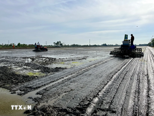 Thủ tướng ban hành Chỉ thị đẩy mạnh Chiến lược quốc gia về tăng trưởng xanh - ảnh 1