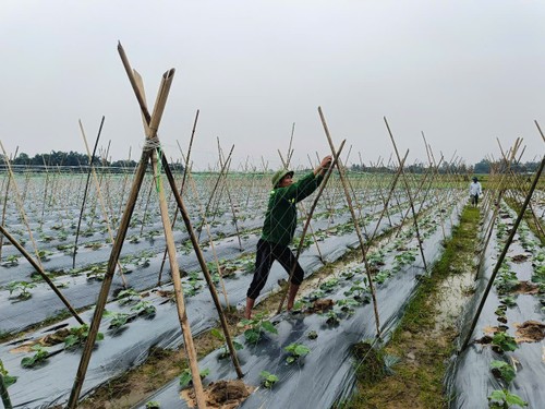 Thanh Hóa: Tăng trưởng xanh bắt đầu từ con người - ảnh 2