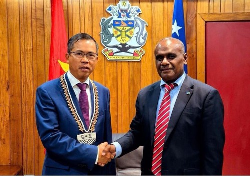 Giới chức Solomon đánh giá cao quan hệ hữu nghị, hợp tác với Việt Nam - ảnh 1