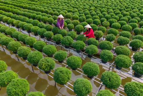 Ngành du lịch xứ dừa sẵn sàng bước vào kỷ nguyên mới - ảnh 4